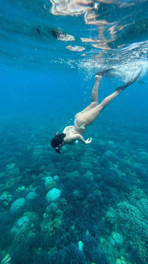 Tipsea Turtle Rooftop Hostel Gili Trawangan Dış mekan fotoğraf